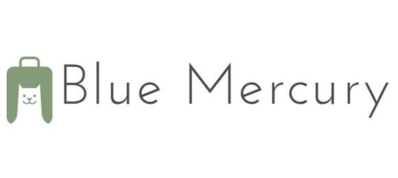 Blue Mercury, Winter Park. Boutique for Women, Gift & Home